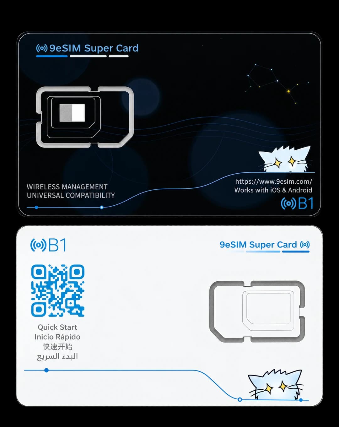 9eSIM B1